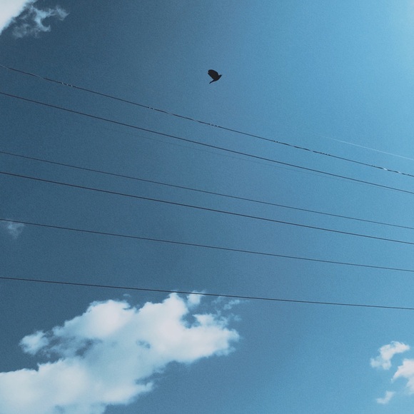 Meet your Posher, Rachael - Picture 3 of 12